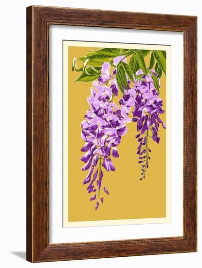 Wisteria-Lantern Press-Framed Art Print