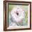 Wistful Floral-Tania Bello-Framed Giclee Print