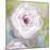 Wistful Floral-Tania Bello-Mounted Giclee Print