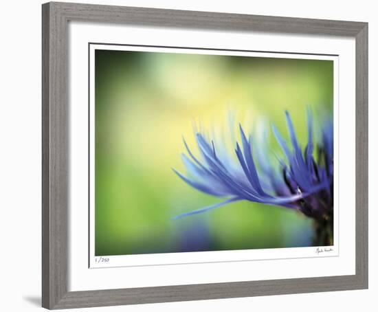 Wistful Thinking-Michelle Wermuth-Framed Giclee Print