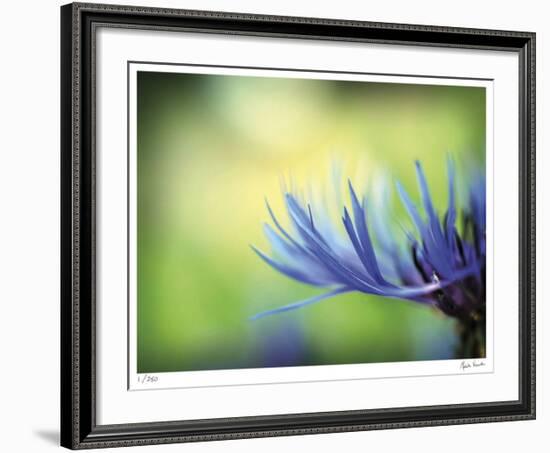 Wistful Thinking-Michelle Wermuth-Framed Giclee Print