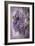 Wistful Wisteria-Jessica Jenney-Framed Giclee Print