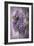 Wistful Wisteria-Jessica Jenney-Framed Giclee Print