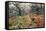 Wistman's Wood, Dartmoor-Adrian Bicker-Framed Premier Image Canvas