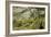 Wistman's Wood, Dartmoor-Adrian Bicker-Framed Photographic Print