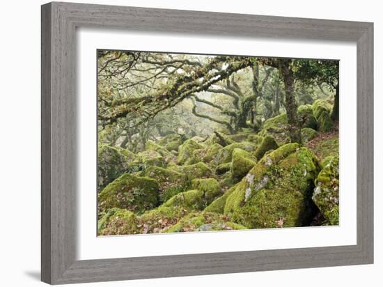 Wistman's Wood, Dartmoor-Adrian Bicker-Framed Photographic Print