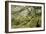 Wistman's Wood, Dartmoor-Adrian Bicker-Framed Photographic Print