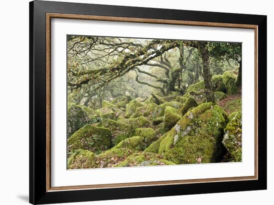 Wistman's Wood, Dartmoor-Adrian Bicker-Framed Photographic Print