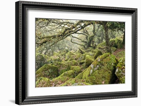 Wistman's Wood, Dartmoor-Adrian Bicker-Framed Photographic Print