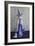 Witch 2014-null-Framed Photographic Print