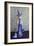 Witch 2014-null-Framed Photographic Print