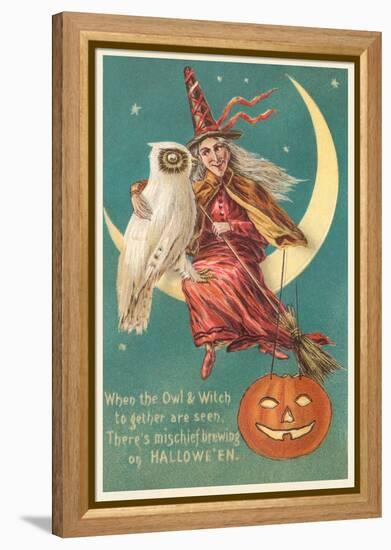 Witch and White Owl-null-Framed Stretched Canvas