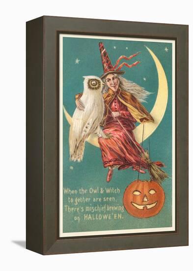 Witch and White Owl-null-Framed Stretched Canvas