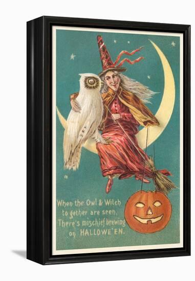 Witch and White Owl-null-Framed Stretched Canvas