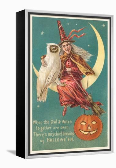 Witch and White Owl-null-Framed Stretched Canvas