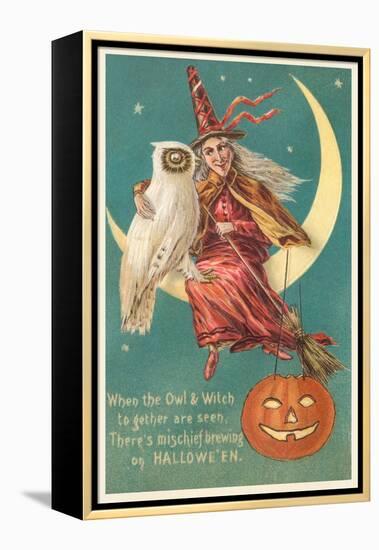 Witch and White Owl-null-Framed Stretched Canvas