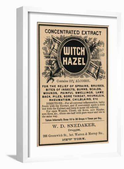 Witch Hazel-null-Framed Art Print