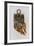 Witch Mole's Paw (Mole Amule), 18th Century-null-Framed Photographic Print