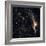 Witches Broom Nebula and Veil Nebula-Stocktrek Images-Framed Photographic Print