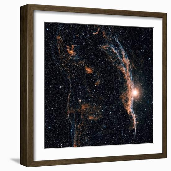 Witches Broom Nebula and Veil Nebula-Stocktrek Images-Framed Photographic Print