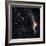 Witches Broom Nebula and Veil Nebula-Stocktrek Images-Framed Photographic Print