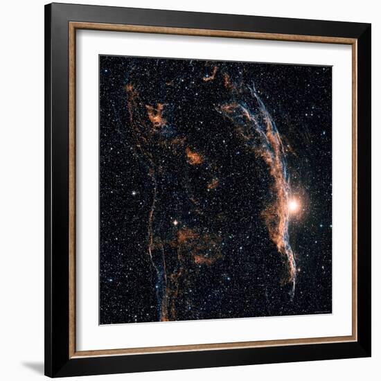 Witches Broom Nebula and Veil Nebula-Stocktrek Images-Framed Photographic Print