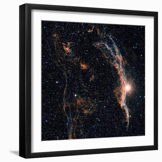 Witches Broom Nebula and Veil Nebula-Stocktrek Images-Framed Photographic Print