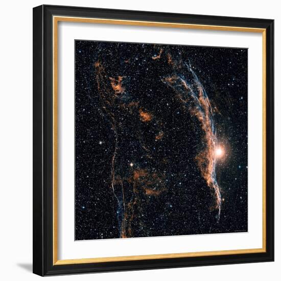 Witches Broom Nebula and Veil Nebula-Stocktrek Images-Framed Photographic Print