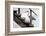 With a Firm Step-Michel Guyot-Framed Photographic Print