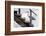 With a Firm Step-Michel Guyot-Framed Photographic Print