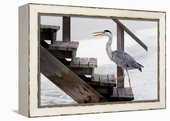 With a Firm Step-Michel Guyot-Framed Premier Image Canvas