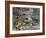 With Francis #2 “Creekside Farm”-Carol Salas-Framed Giclee Print