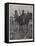 With General Gatacre's Force, Scouts at Work-Frank Craig-Framed Premier Image Canvas