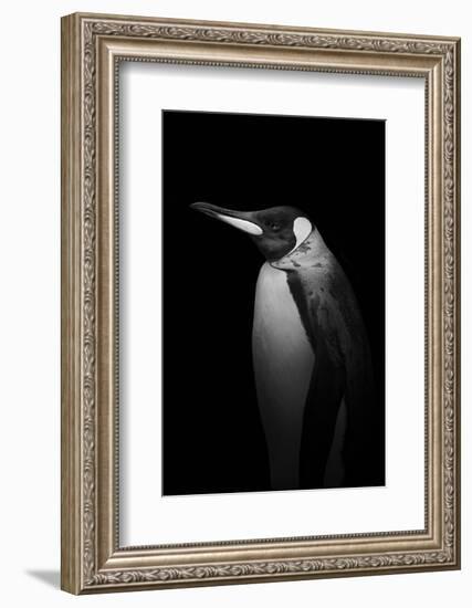 With tears-Alex Zhao-Framed Photographic Print