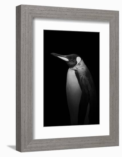 With tears-Alex Zhao-Framed Photographic Print