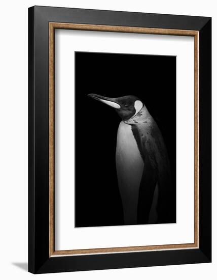 With tears-Alex Zhao-Framed Photographic Print