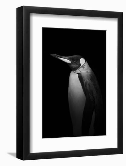 With tears-Alex Zhao-Framed Photographic Print