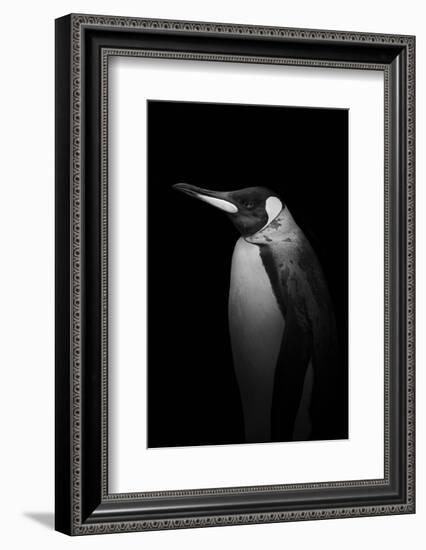 With tears-Alex Zhao-Framed Photographic Print