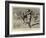 With the Tirah Expedition-Sydney Prior Hall-Framed Giclee Print