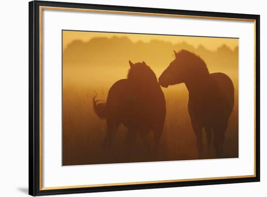 With You-Staffan Widstrand-Framed Giclee Print