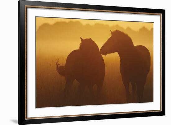 With You-Staffan Widstrand-Framed Giclee Print