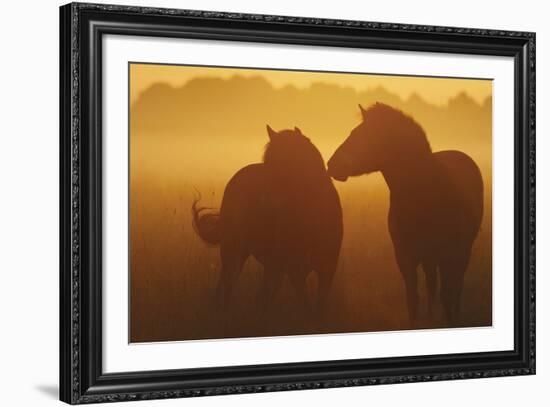 With You-Staffan Widstrand-Framed Giclee Print