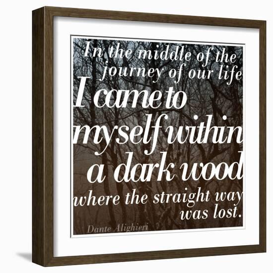 Within a Dark Wood-Keren Su-Framed Photographic Print