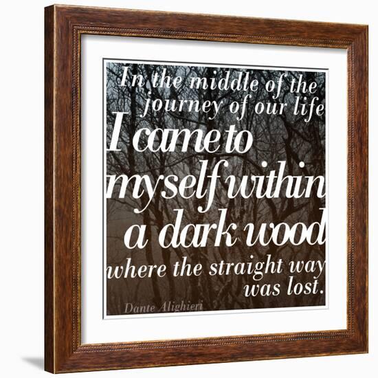 Within a Dark Wood-Keren Su-Framed Photographic Print