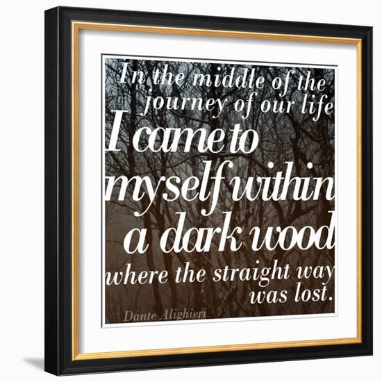 Within a Dark Wood-Keren Su-Framed Photographic Print