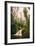 Within Beautiful Cataract Falls, Marin County Hiking California-Vincent James-Framed Photographic Print