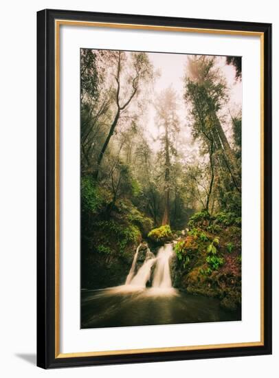 Within Beautiful Cataract Falls, Marin County Hiking California-Vincent James-Framed Photographic Print