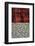 Within Reach 2-Petr Strnad-Framed Photographic Print