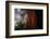 Within The Awesome and Mighty Redwoods, Detail Redwood National Park-Vincent James-Framed Photographic Print