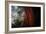 Within The Awesome and Mighty Redwoods, Detail Redwood National Park-Vincent James-Framed Photographic Print